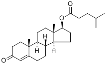 Testosterone isocaproate Structure