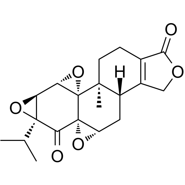 Triptonide Structure