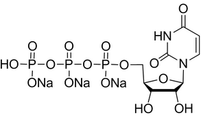 Uridine triphosphate trisodium Structure