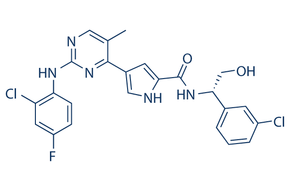 VX-11e Structure