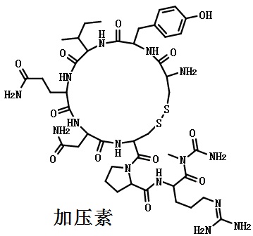 Vasopressin  Structure