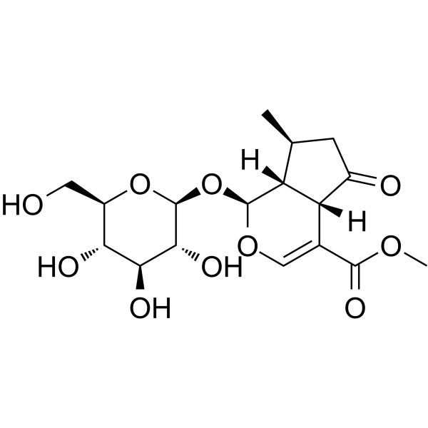 Cornin Structure