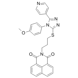 WIKI4 Structure