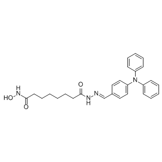 WT161 Structure