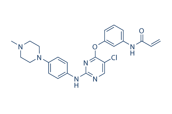 WZ3146 Structure