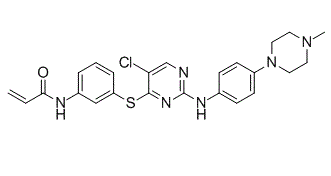 WZ8040 Structure