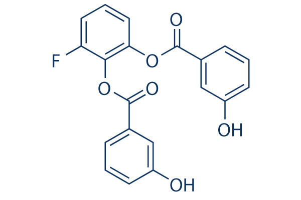 WZB117  Structure