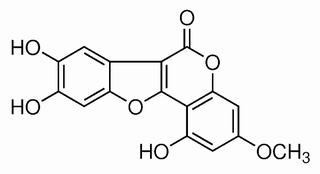 Wedelolactone Structure