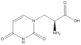 (S)-Willardiine Structure