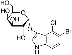 X-α-Gal Structure