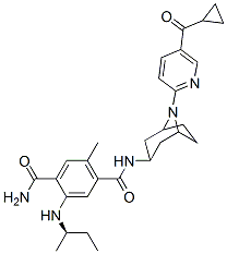 XL888 Structure