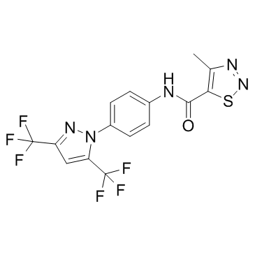 YM-58483 Structure