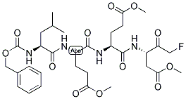 Z-LEED-FMK Structure