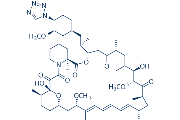 Zotarolimus Structure