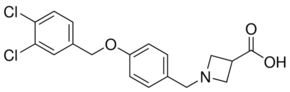 A-971432 Structure