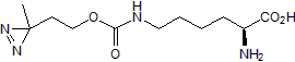 AbK Structure