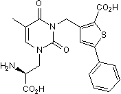 ACET Structure