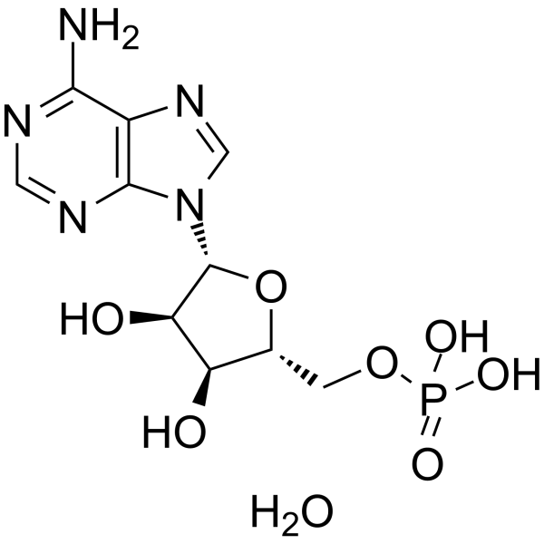 Adenosine 5'-monophosphate monohydrate Structure