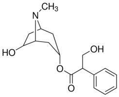 Anisodamine Structure