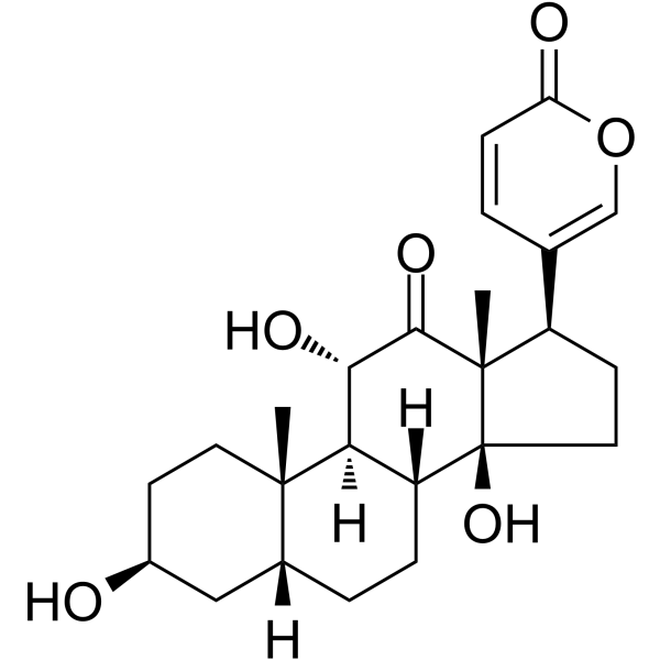 Arenobufagin Structure