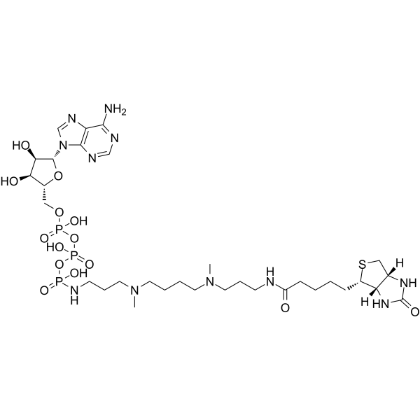 ATP-polyamine-biotin Structure