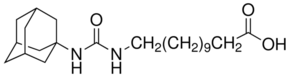 AUDA Structure