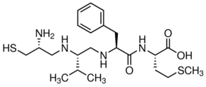 B581 Structure