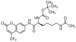 BATCP Structure