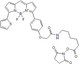 BDY TR-X, SE Structure