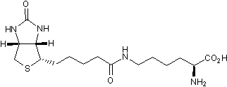 Biocytin Structure