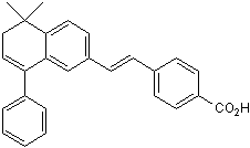 BMS 453 Structure