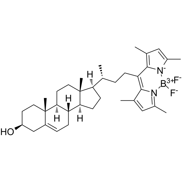 BODIPY-Cholesterol Structure