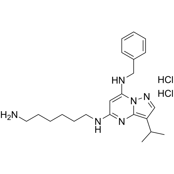 BS-181 dihydrochloride  Structure
