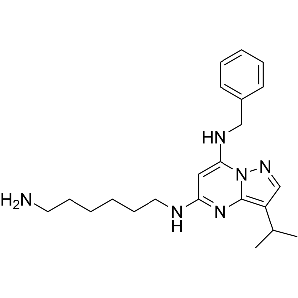 BS-181 Structure