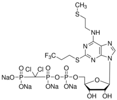 Cangrelor tetrasodium salt Structure