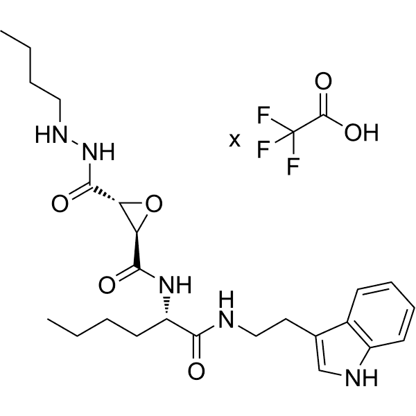 Cathepsin C-IN-6 Structure