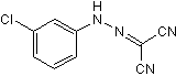 CCCP Structure