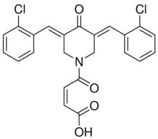 CLEFMA Structure