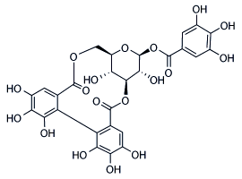 Corilagin Structure