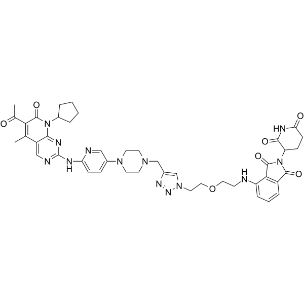 CP-10 Structure