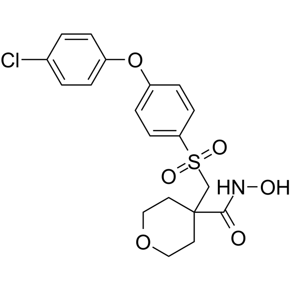 CTS-1027 Structure