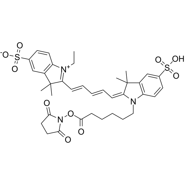 CY5-SE Structure