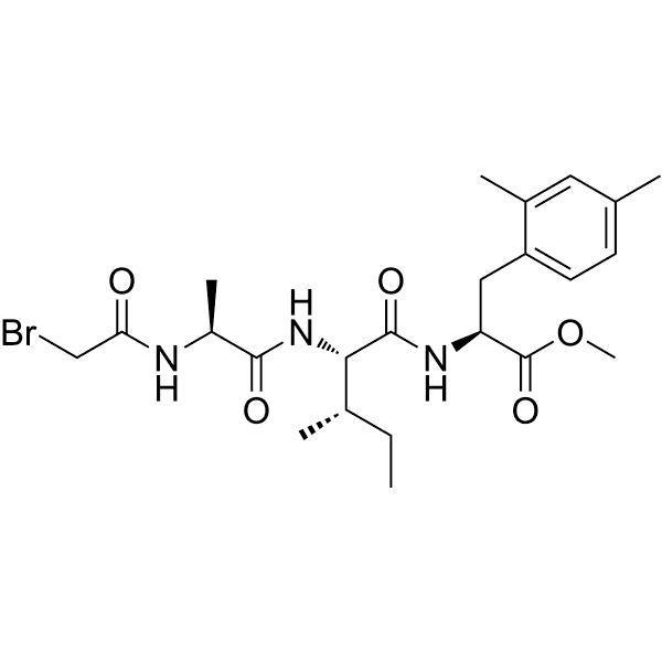D-4-77 Structure