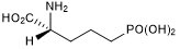 D-AP5 Structure