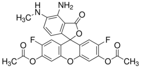 DAF-FM DA Structure