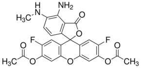 DAF-FM DA Structure