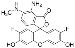DAF-FM Structure
