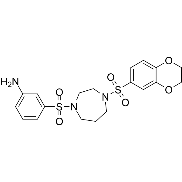 DASA-58 Structure