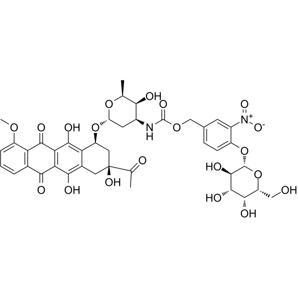 Daun02 Structure