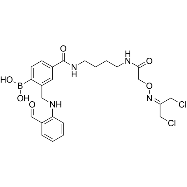 DCA-RMR1 Structure
